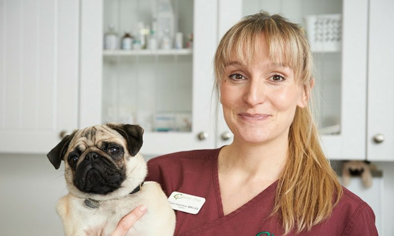 Mums in Business featuring Cherry Tree Vets
