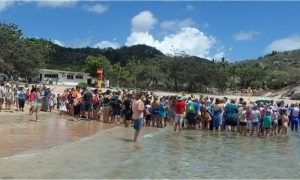 On the beach releasing Turtles