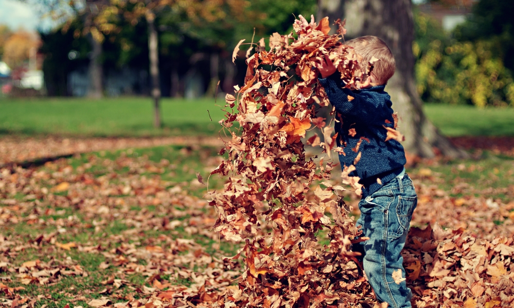 A boy playing in the leaves
